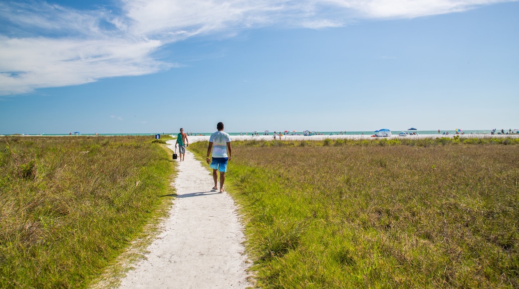 Bãi biển Công cộng Siesta Key