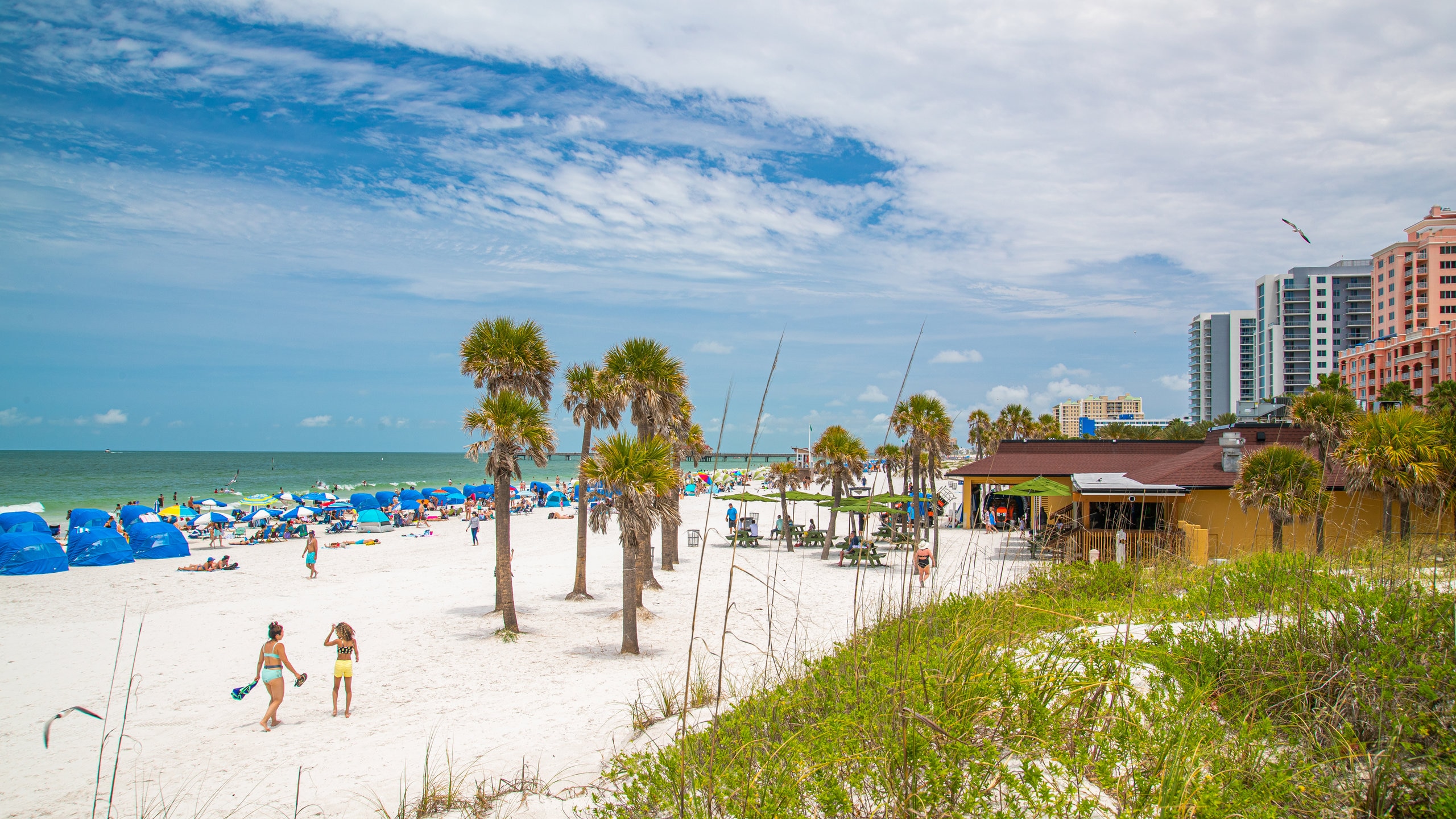 Clearwater Beach  Visit St Petersburg Clearwater Florida