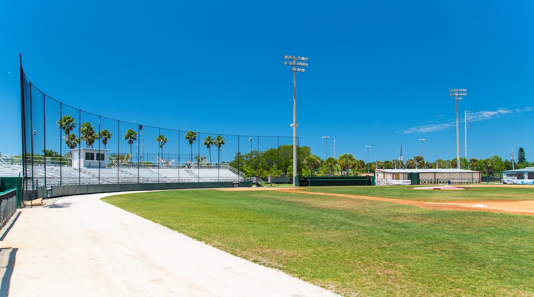 Jack Russell Stadium