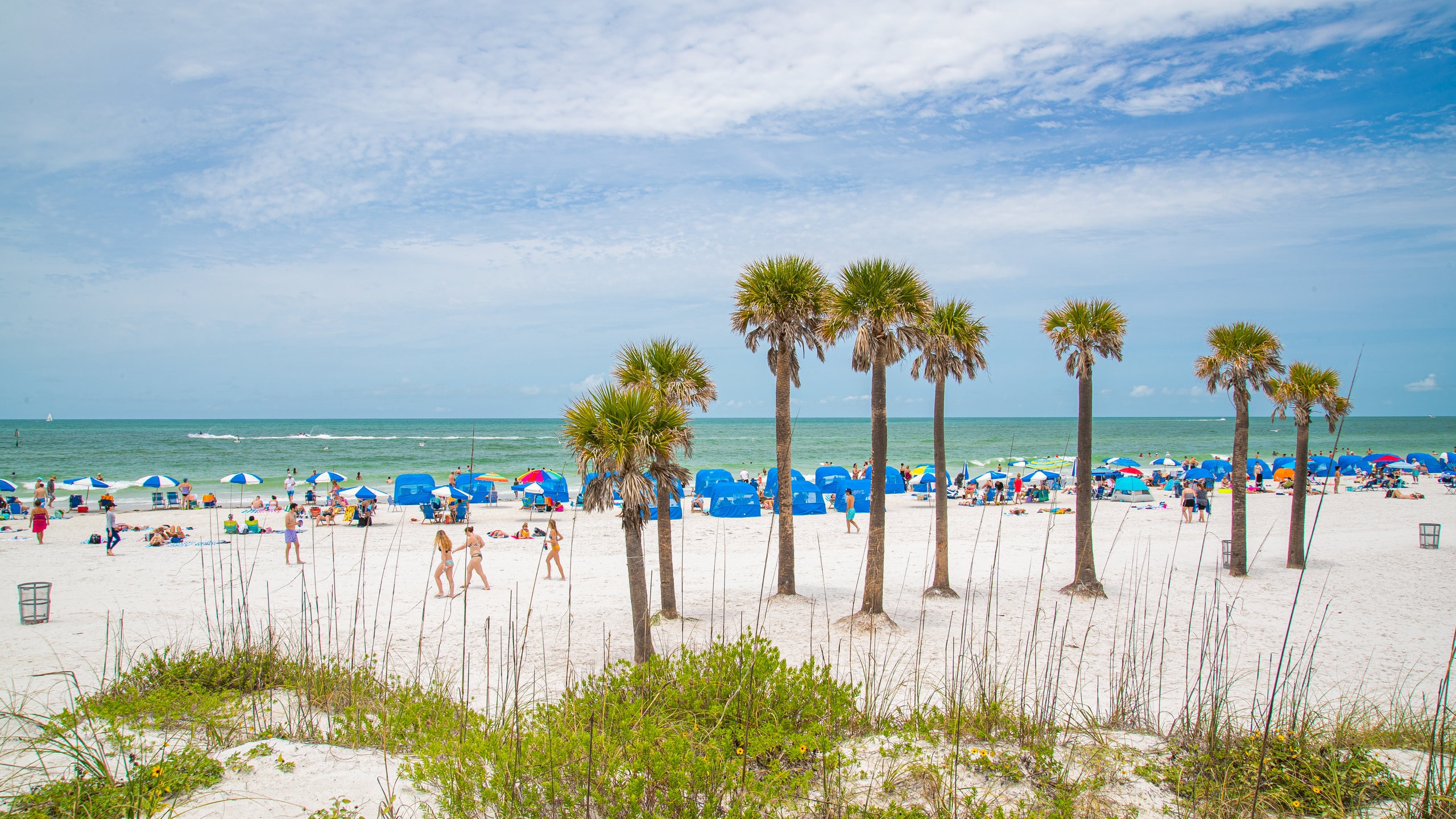 Clearwater Beach – Comes e Bebes