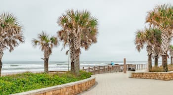 Andy Romano Beachfront Park featuring general coastal views