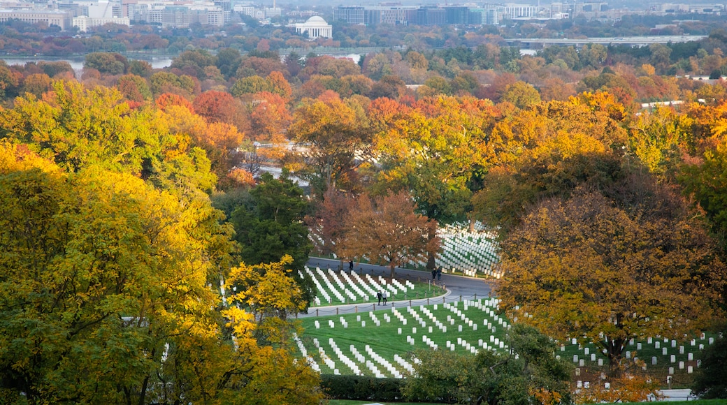 Arlington showing landscape views and a cemetery