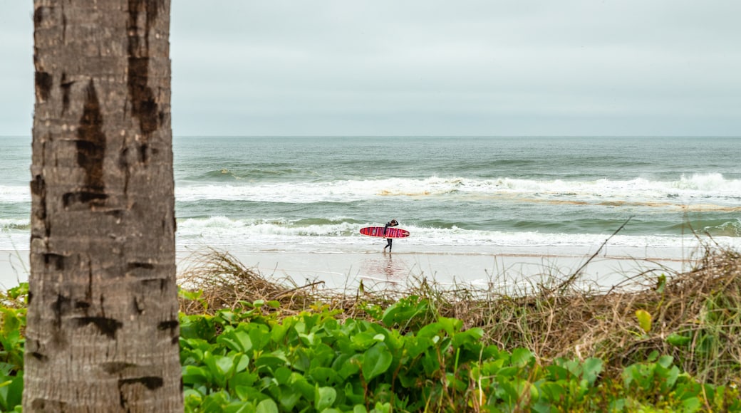 Andy Romano Beachfront Park showing general coastal views