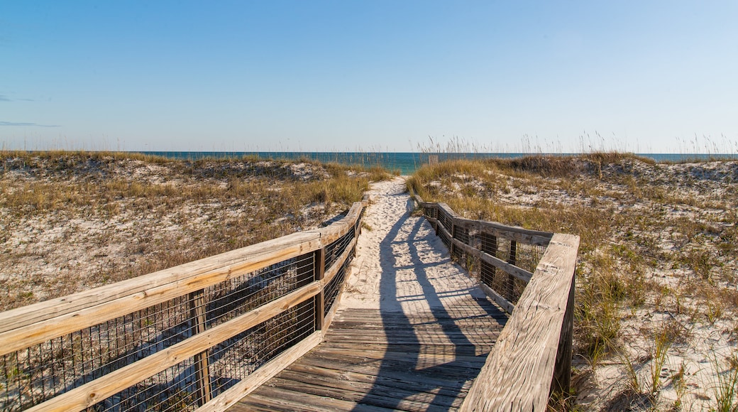 Perdido Key State Park showing a beach