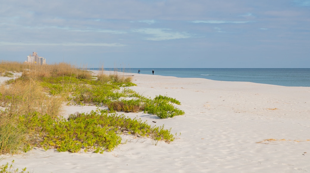 Perdido Key State Park which includes a sandy beach and general coastal views