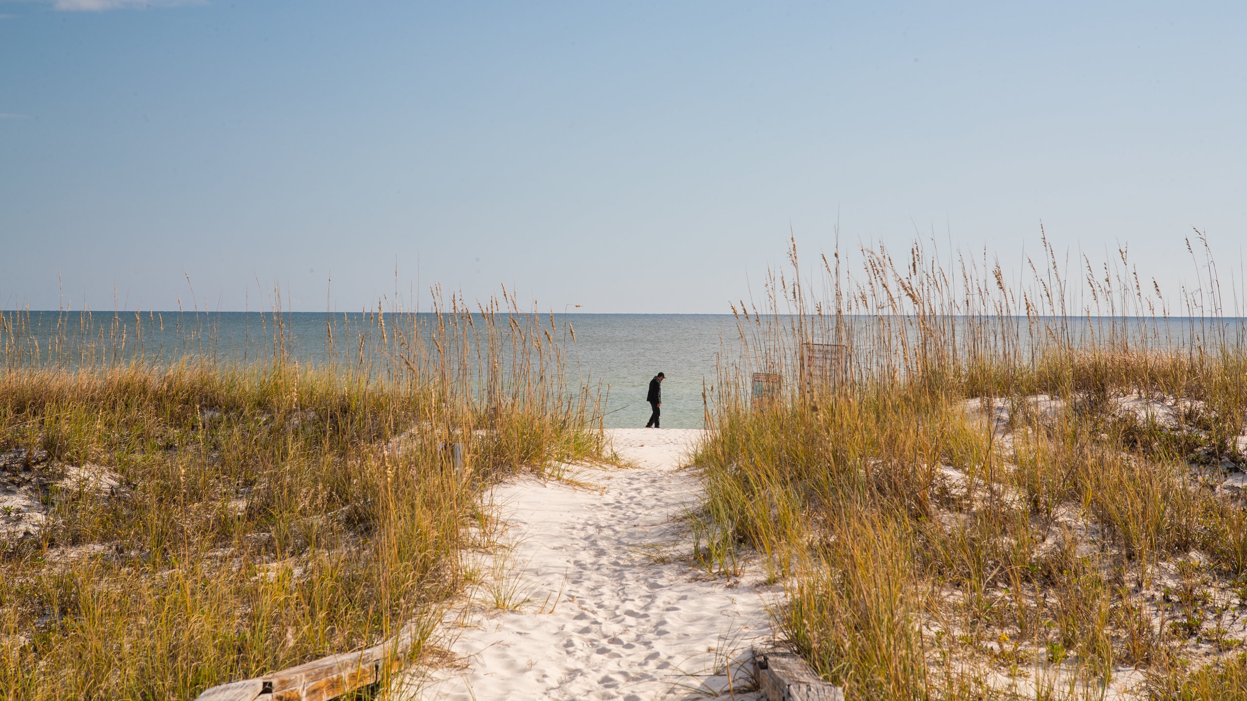 Perdido Key State Park showing a beach and general coastal views