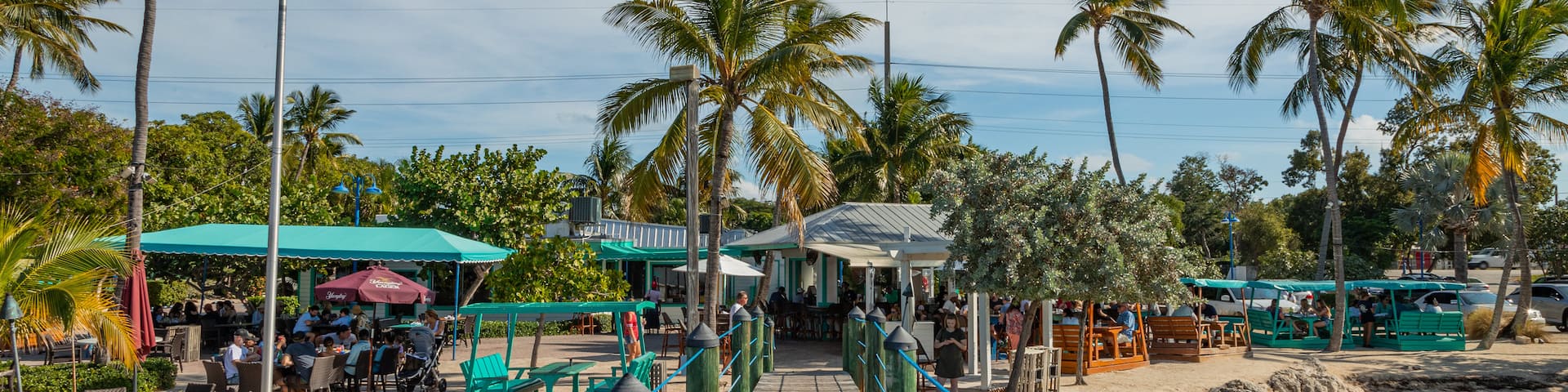 Plantation Key showing a river or creek
