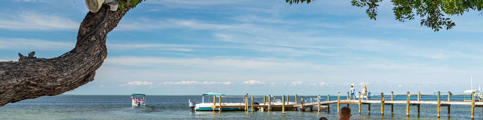 Plantation Key featuring a beach and general coastal views as well as a couple