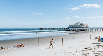 Daytona Beach Pier which includes a sandy beach and general coastal views