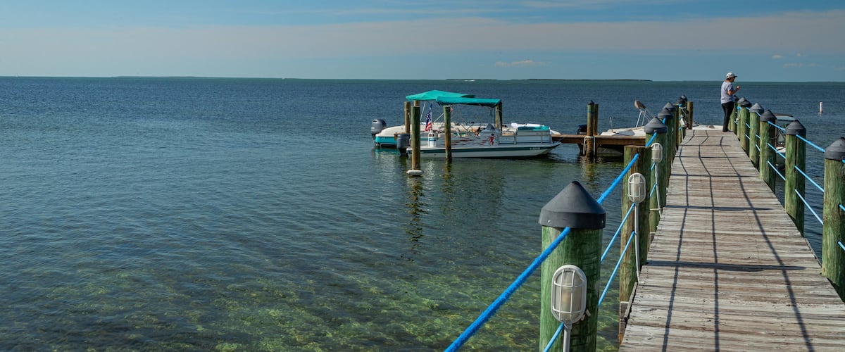 Plantation Key showing general coastal views