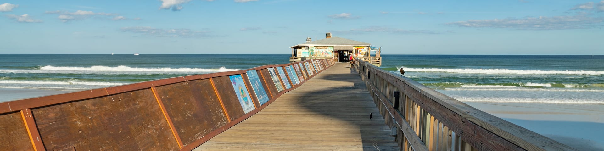 Sunglow Pier showing general coastal views
