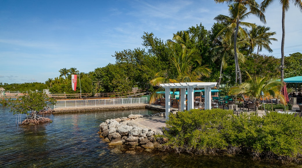 Plantation Key