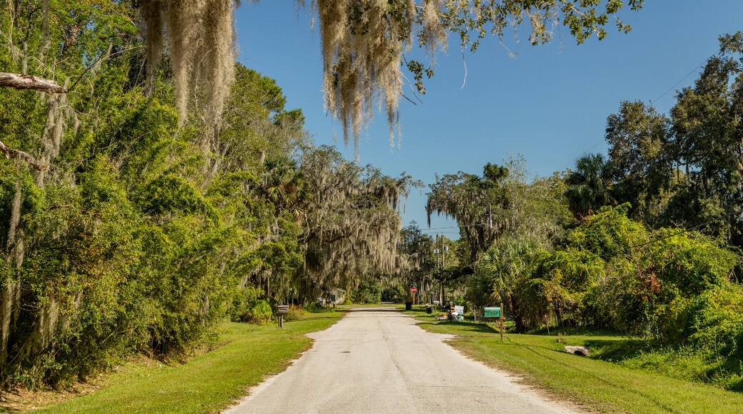 Visit East Palatka 2021 Travel Guide for East Palatka, St. Augustine