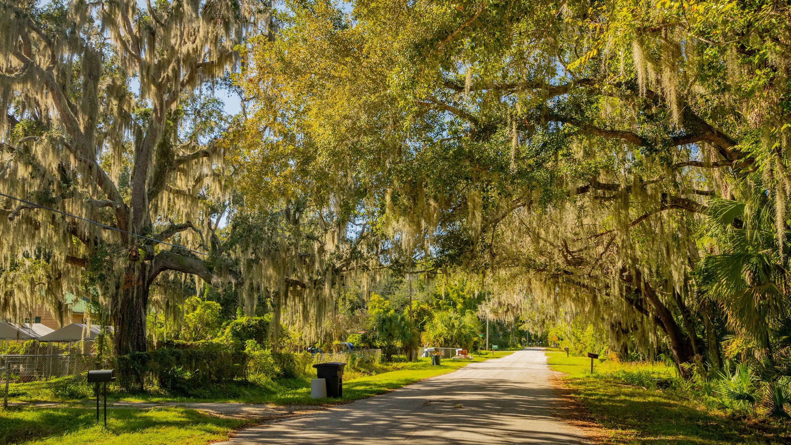 Visit East Palatka 2022 Travel Guide for East Palatka, Florida Expedia