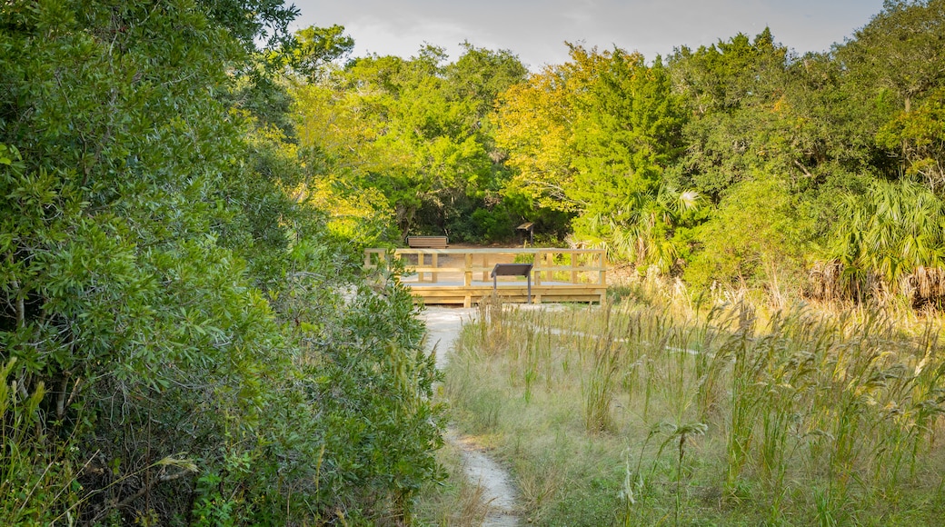 Anastasia State Park