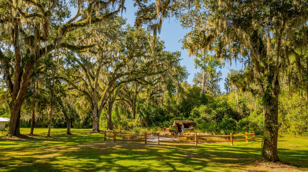 Elkton showing a garden