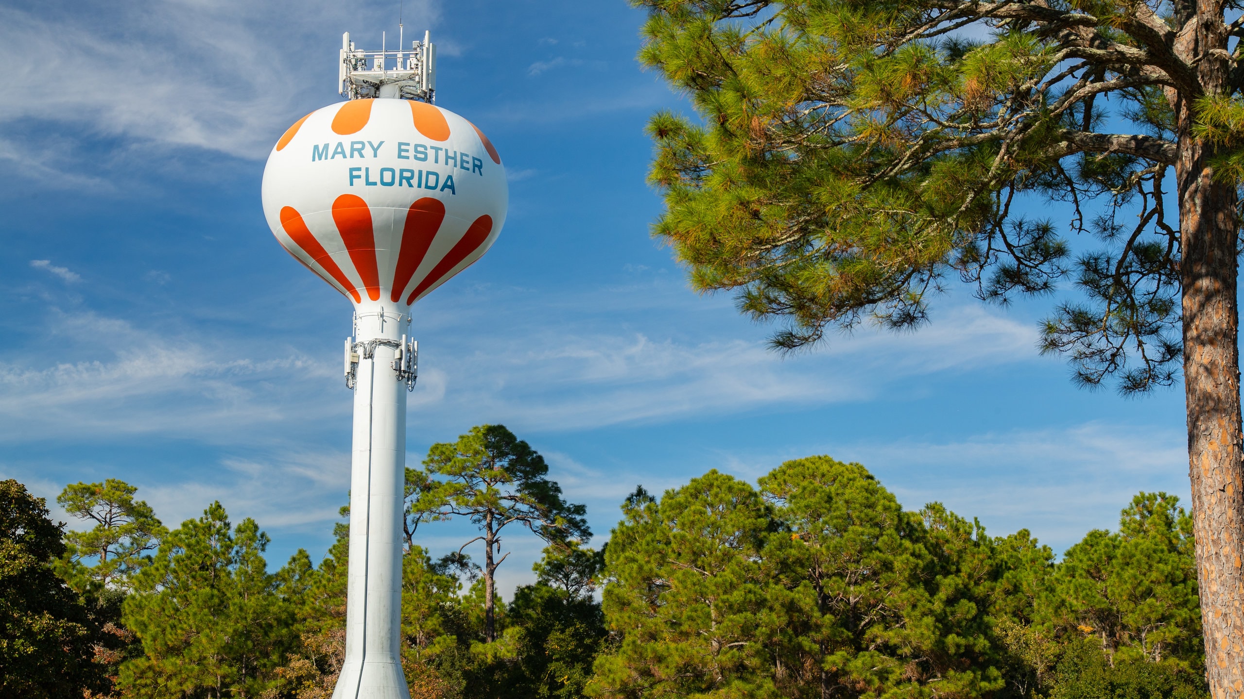 Mary Esther featuring signage
