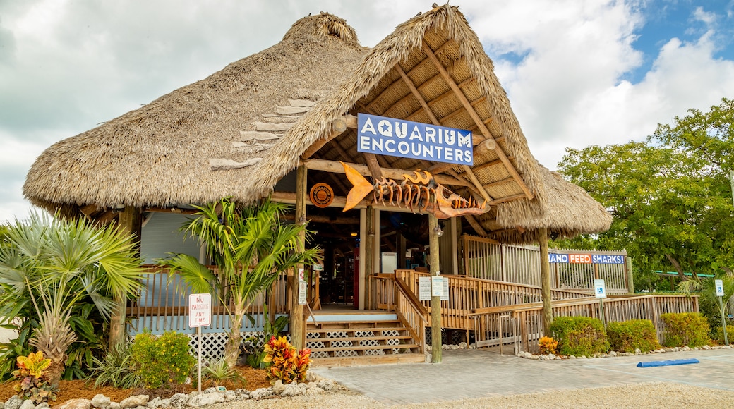 St Maarten and St Martin featuring signage