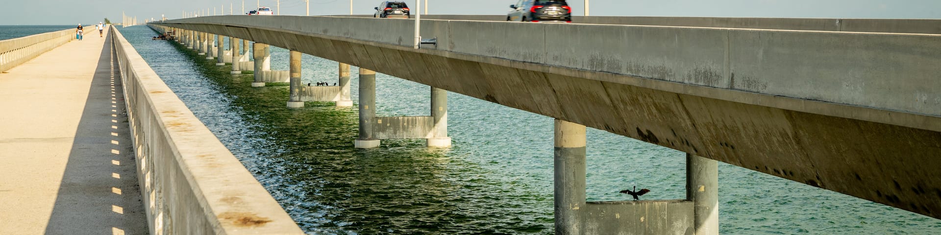 Seven Mile Bridge showing general coastal views and a bridge