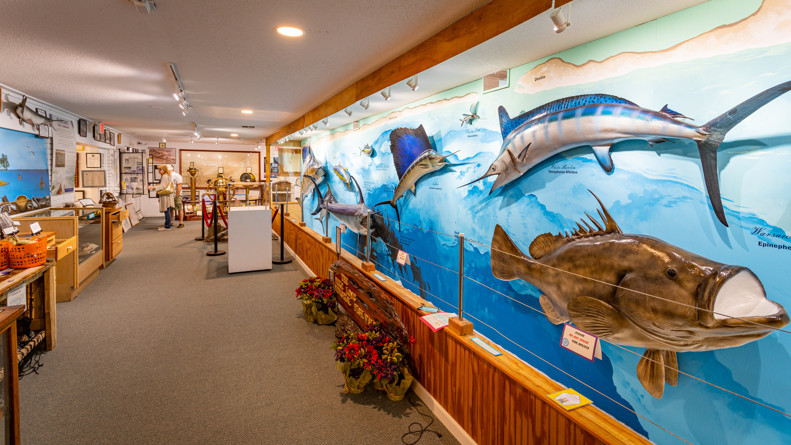 Destin History and Fishing Museum showing marine life and interior views