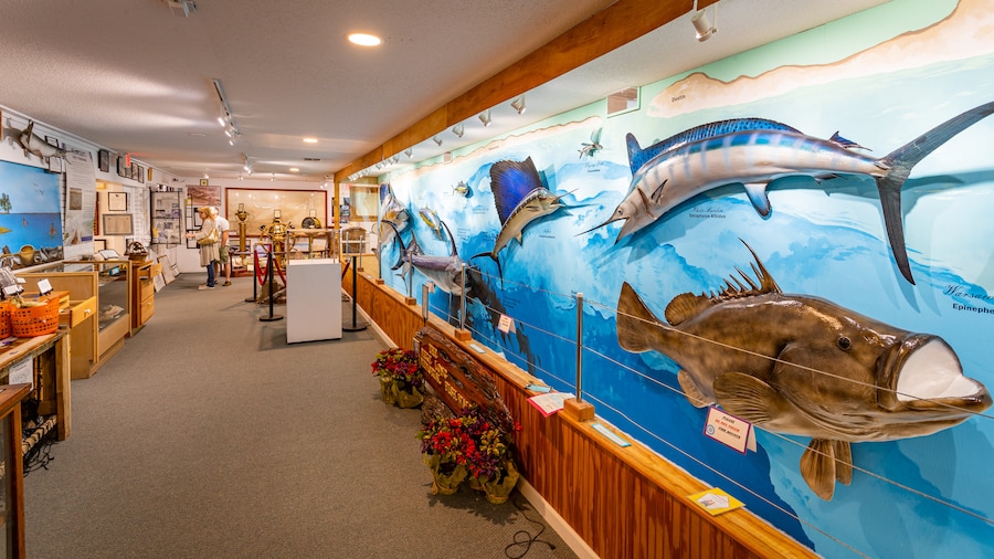 Interior of Destin History and Fishing Museum with mounted fish exhibits and historical displays in Destin, Florida.