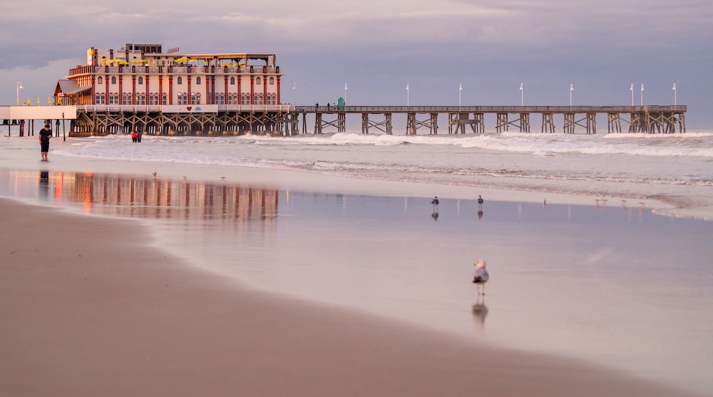 Daytona Beach Pier which includes general coastal views and a beach