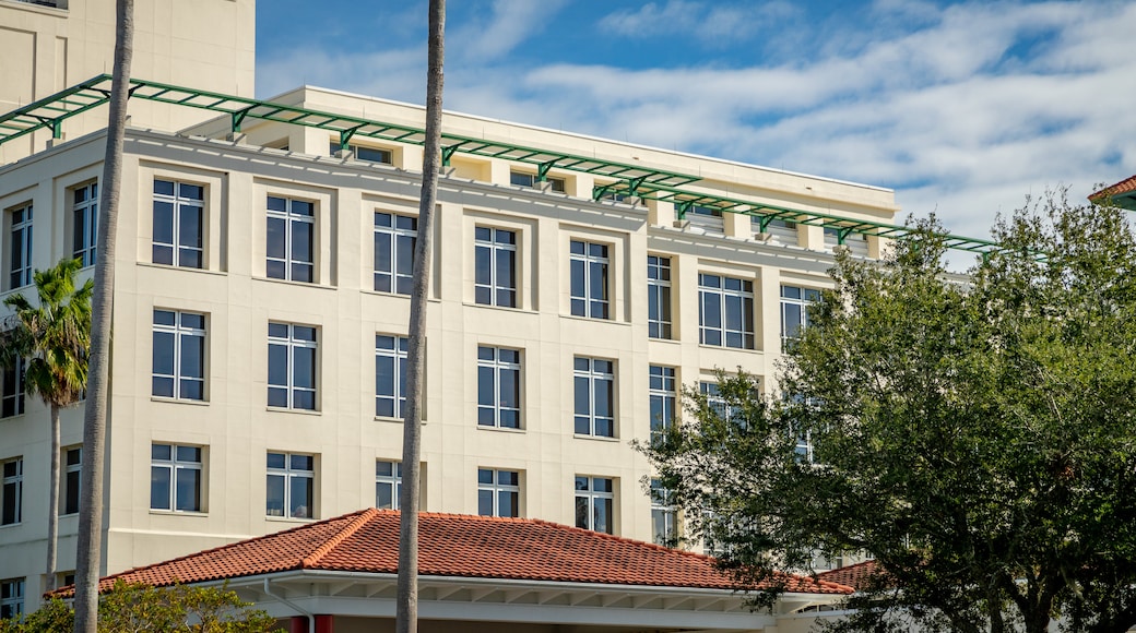 Hospital Flagler