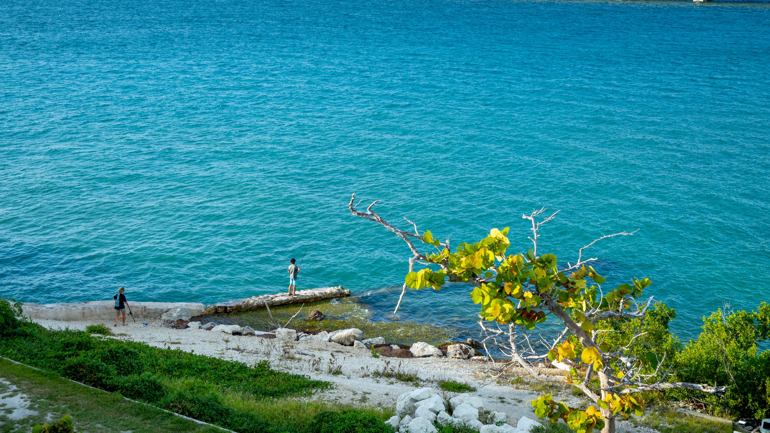 Bahia Honda State Park which includes general coastal views