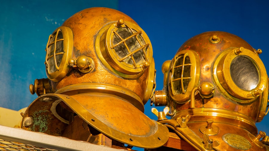 History of Diving Museum