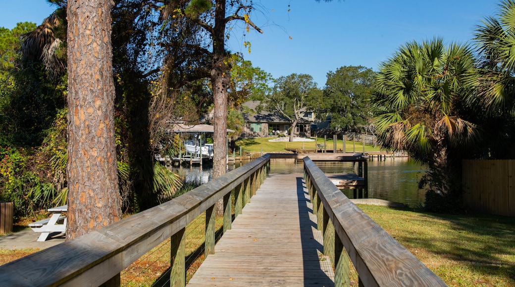 Cinco Bayou showing a bridge and a pond
