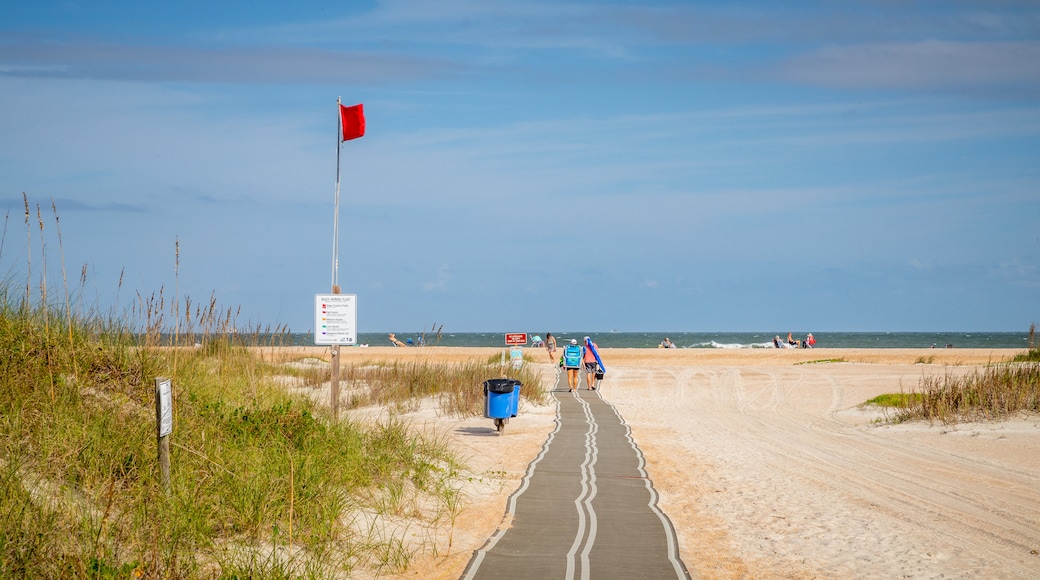 Anastasia State Park showing general coastal views and a beach