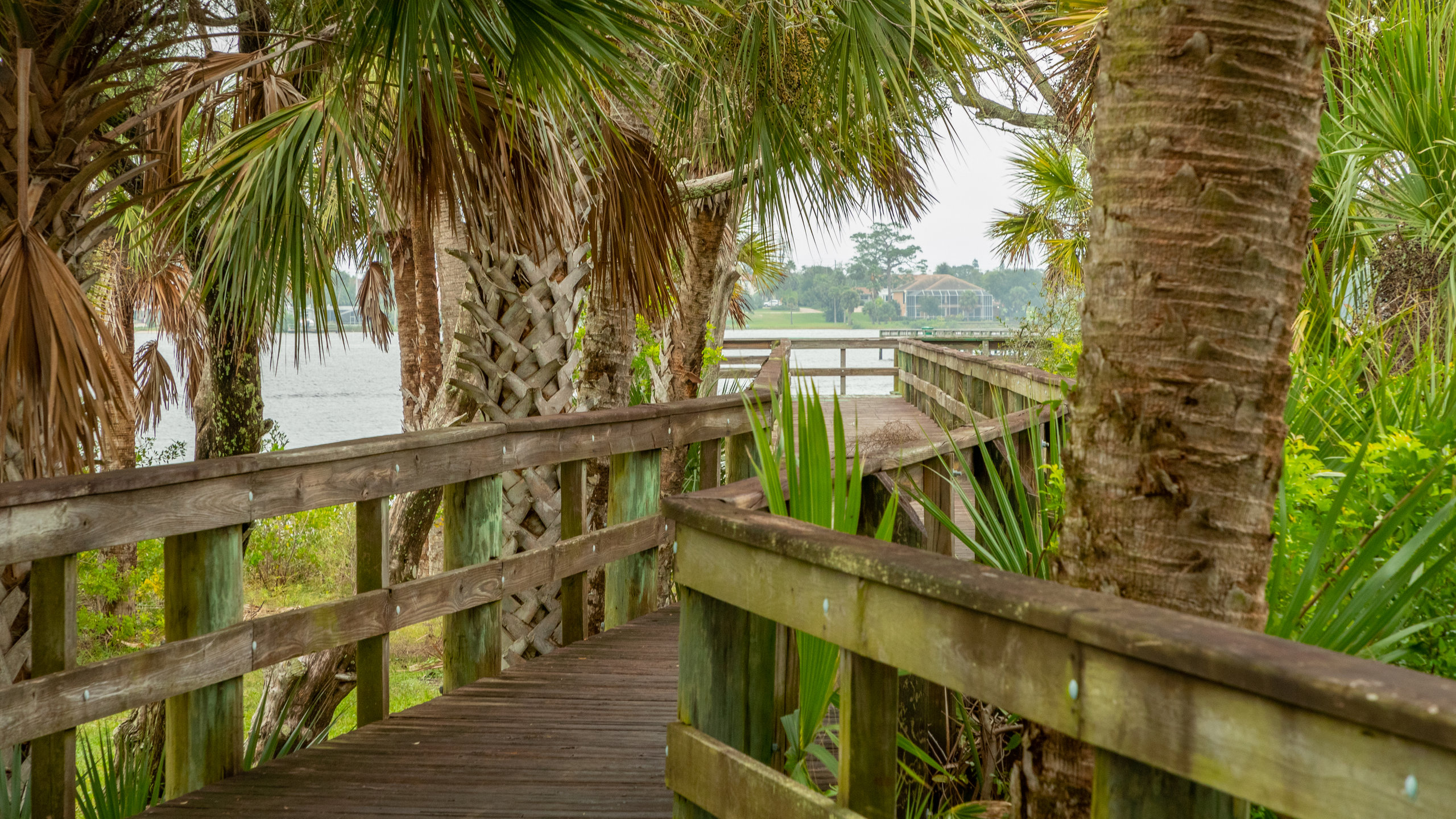 Holly Hill Travel Guide: Best of Holly Hill, Florida Travel 2024 