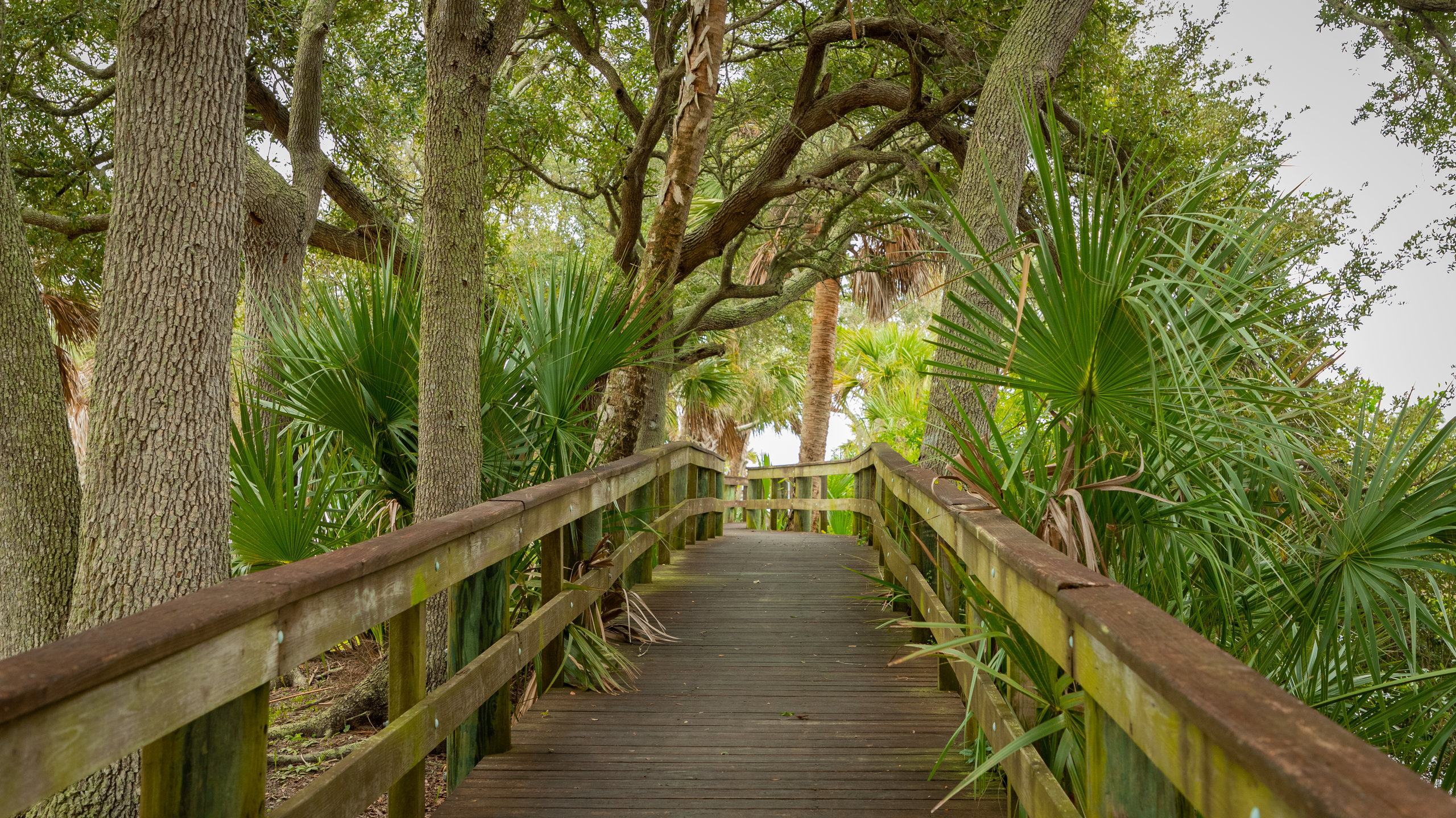 Holly Hill Travel Guide: Best of Holly Hill, Florida Travel 2024 