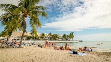 South Beach featuring tropical scenes, general coastal views and a beach