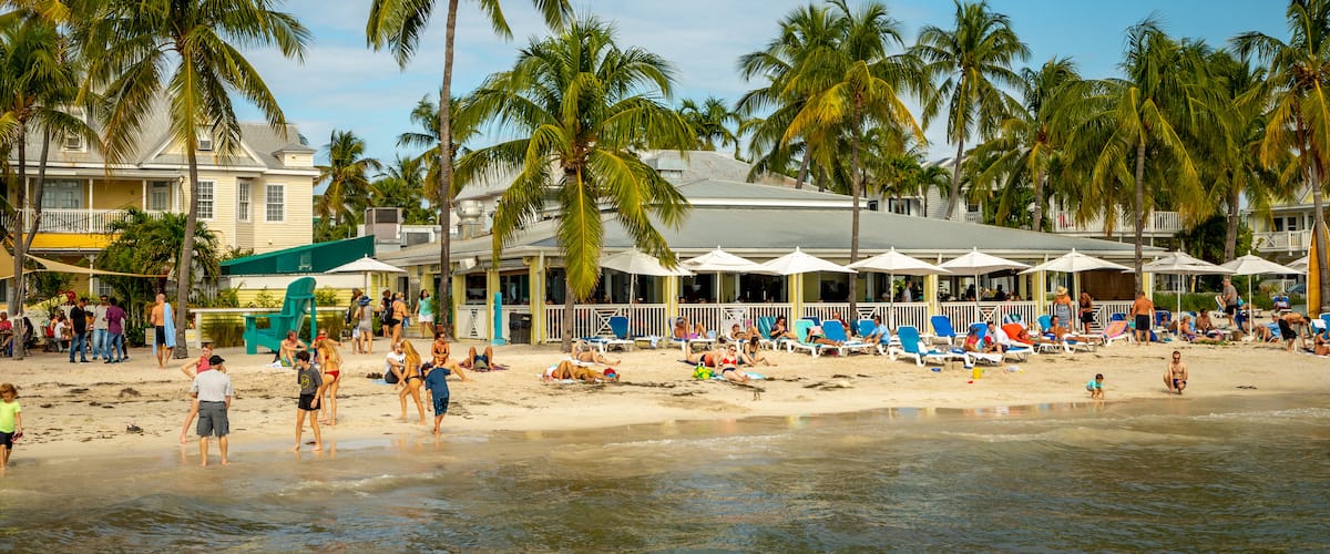 South Beach showing a beach, tropical scenes and general coastal views
