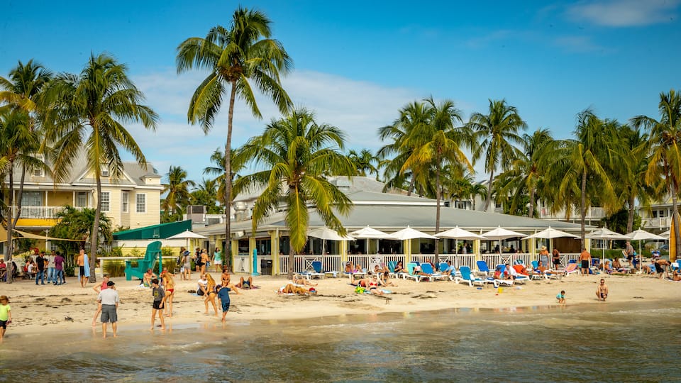 South Beach showing a beach, tropical scenes and general coastal views