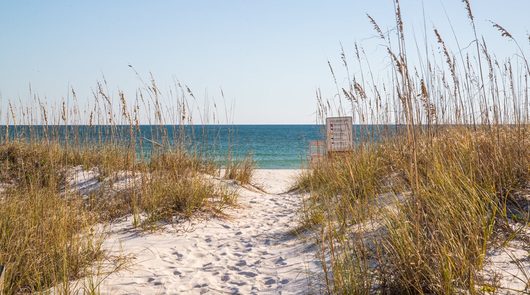 Florida Panhandle showing general coastal views and a sandy beach