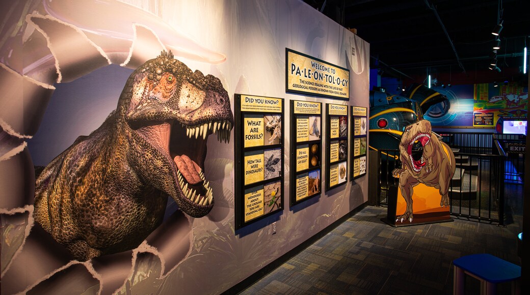 WonderWorks Panama City Beach