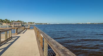 South Daytona showing general coastal views