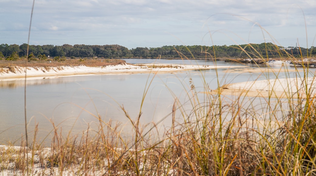 Camp Helen State Park featuring a river or creek