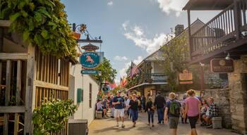 Visit St. Augustine: 2022 Travel Guide for St. Augustine ...