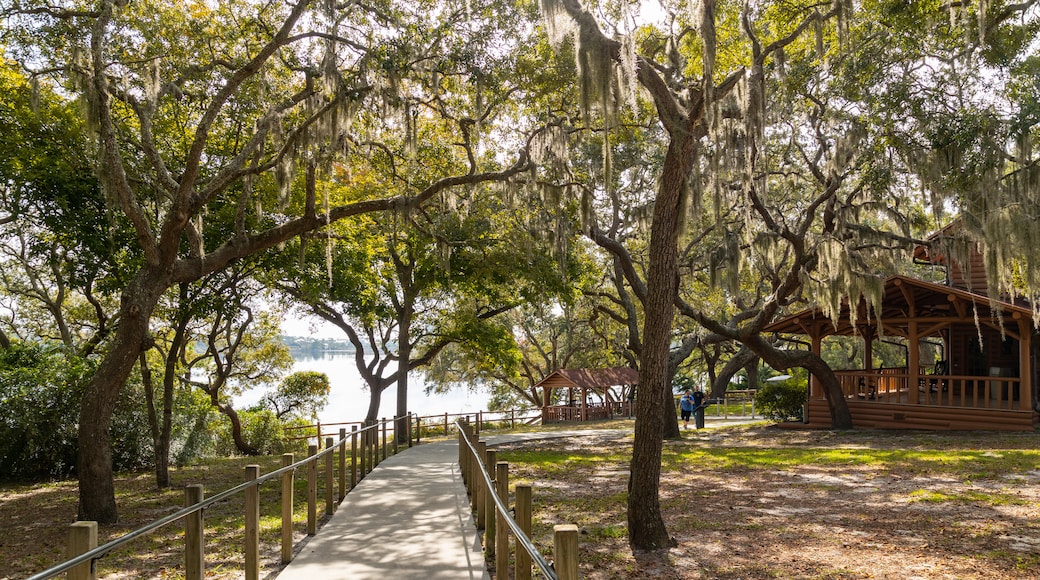 Camp Helen State Park which includes a garden