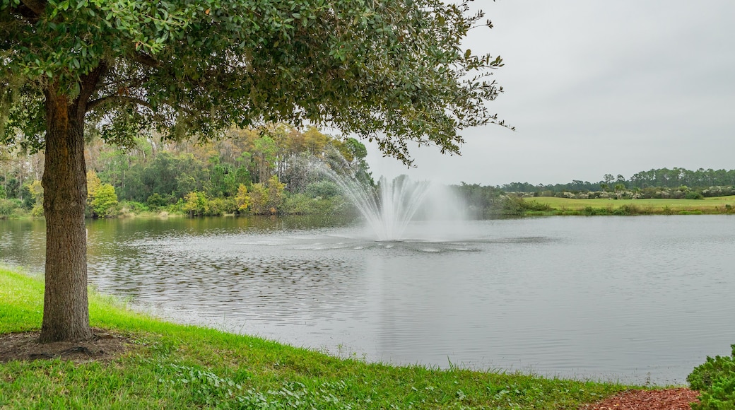 Venetian Bay Golf Club showing a pond and a fountain