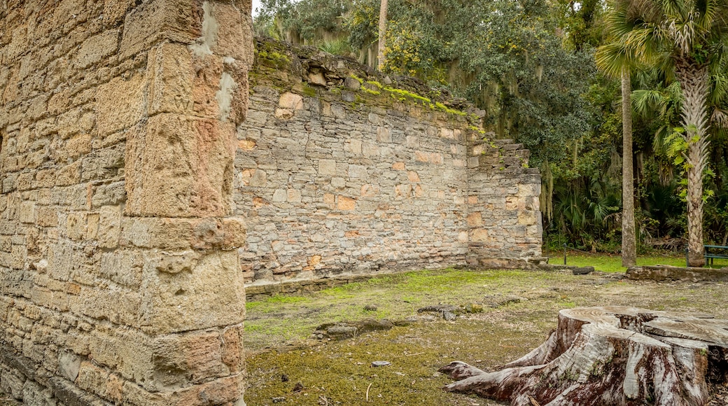 Sugar Mill Ruins which includes building ruins