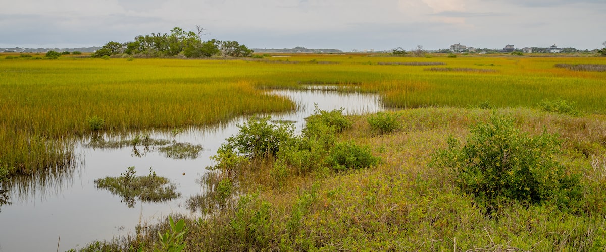 Fort Mose Historic State Park which includes tranquil scenes and wetlands