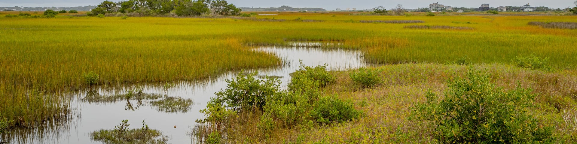 Fort Mose Historic State Park which includes tranquil scenes and wetlands