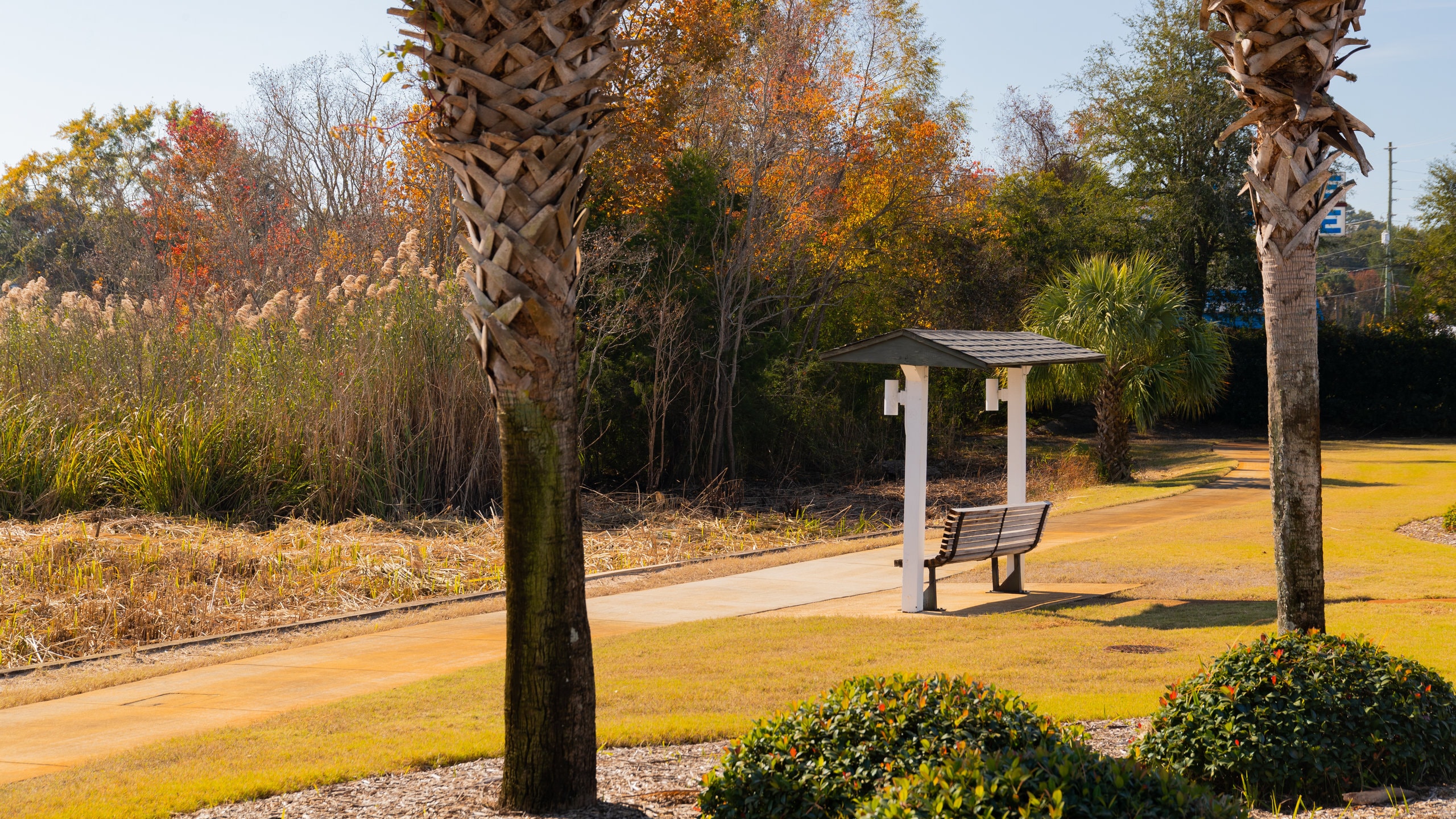 Niceville showing a park