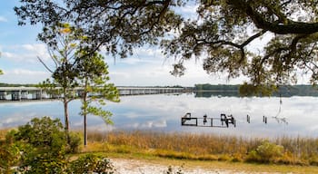 Camp Helen State Park featuring general coastal views