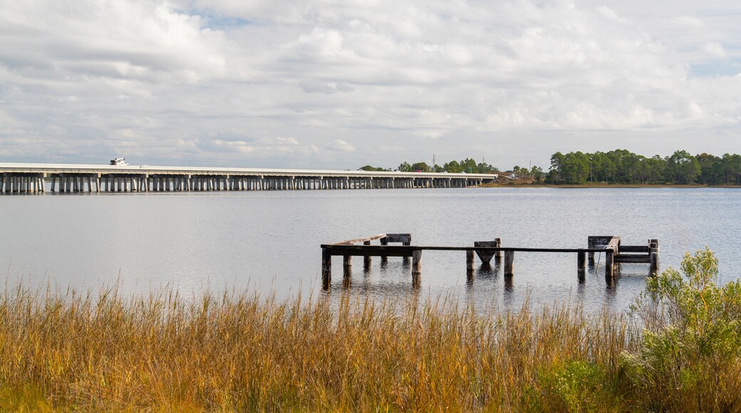 Camp Helen State Park featuring general coastal views