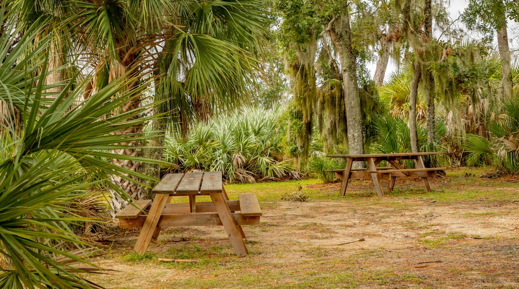 Tomoka State Park